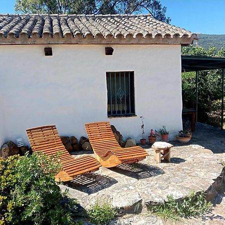 Villa Complejo Rural del Molino Dorado Facinas Exterior foto