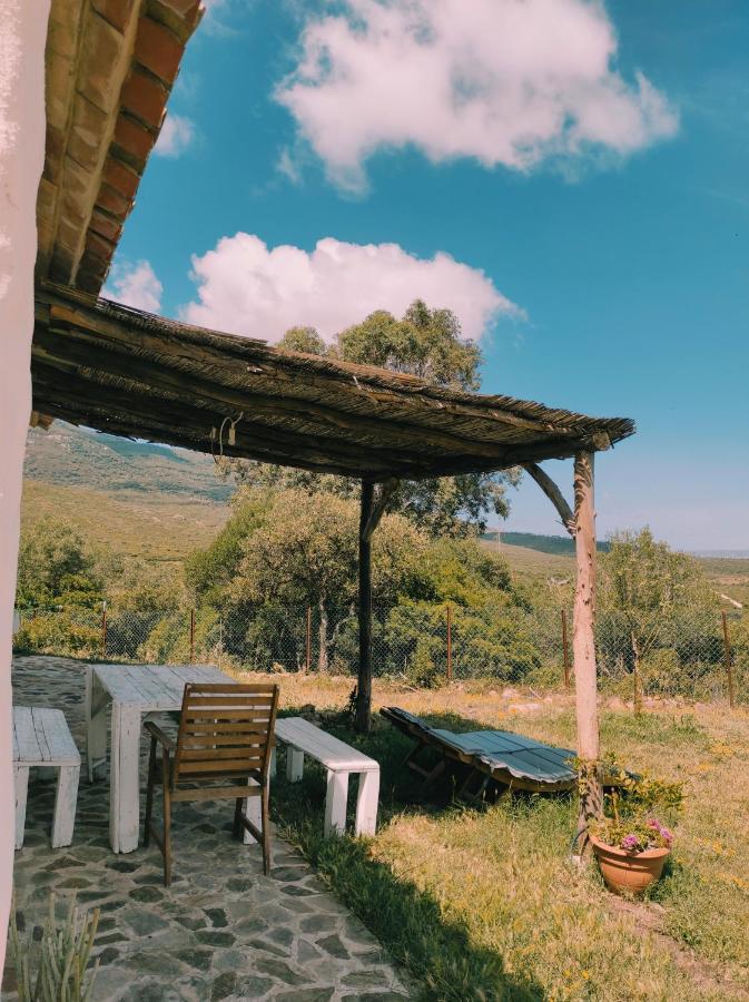Villa Complejo Rural del Molino Dorado Facinas Exterior foto
