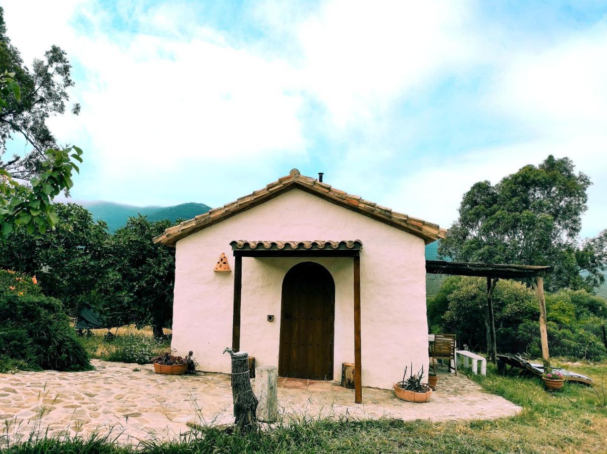 Villa Complejo Rural del Molino Dorado Facinas Exterior foto